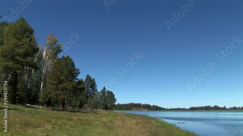 Pinetop Trees Lakeside-xws photo