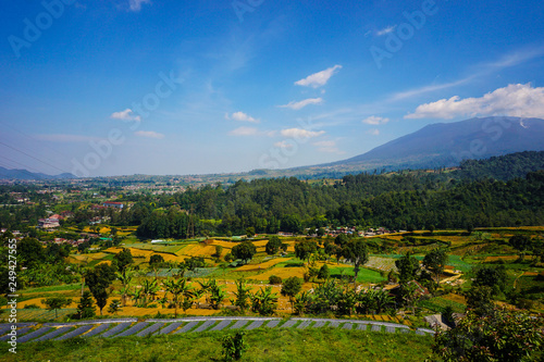 Fototapeta Naklejka Na Ścianę i Meble -  big mountain on the farming area with landscape scenery on tropical paradise country - photo indonesia