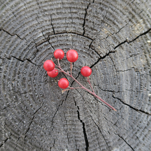 Little Red Fruit on the Wood