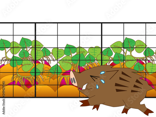 害獣の猪から農作物の被害を守るため、フェンスを設置している。