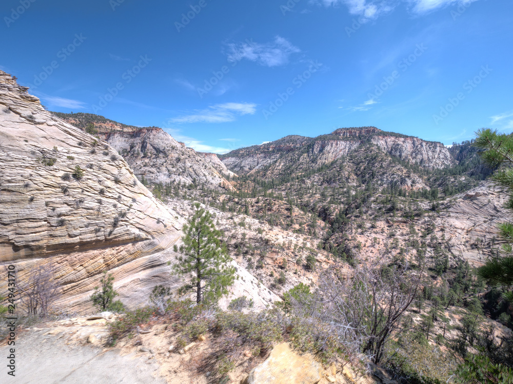 Hiking in the Mountains