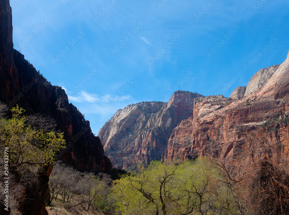 Fototapeta premium Zion Canyon