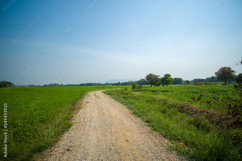 road field countryside