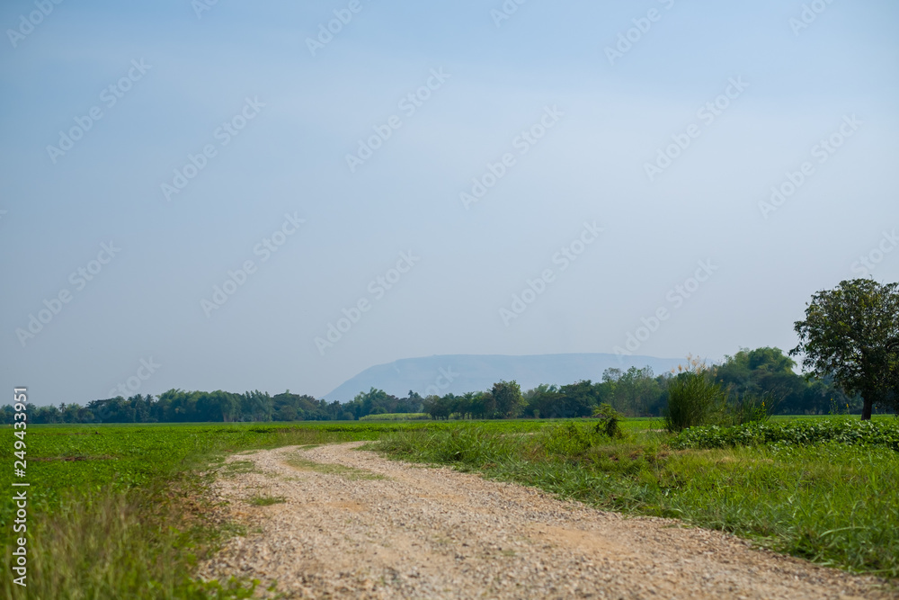 Obraz premium road field countryside
