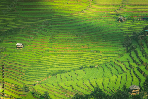 Rice fields on terraced of Mu Cang Chai YenBai Vietnam. Rice fields prepare the harvest at Northwest Vietnam.Vietnam landscapes