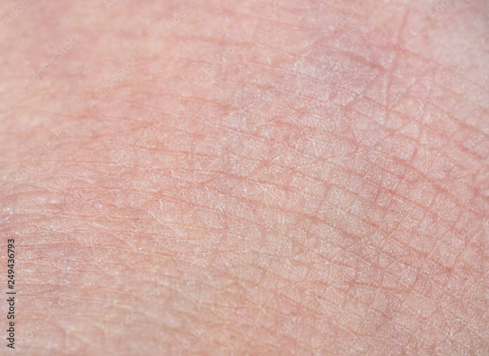 Macro Photo of Texture of Human Skin Macro Photo of Texture of Human Skin