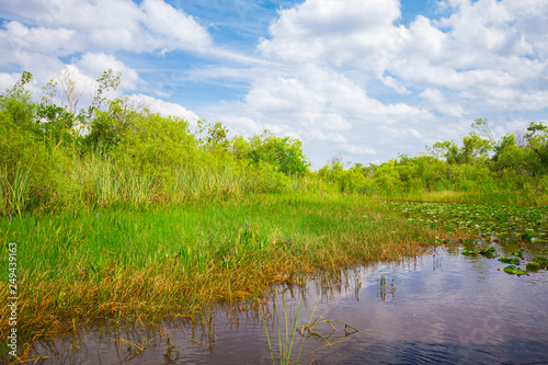 Everglades National Park. Swamps of Florida. Big Cypress National Preserve. Florida. USA.