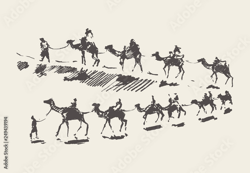 Caravan camels desert rawn vector sketch drawn