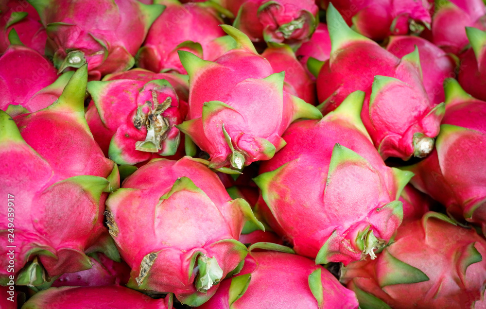 fresh dragon fruit for sale in the market tropical fruit texture background fresh dragon fruit for sale in the market tropical fruit texture background