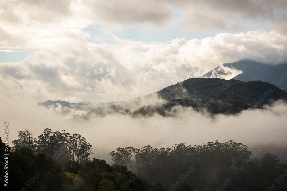 Naklejka premium Early morning fog and mist rise over forested hills