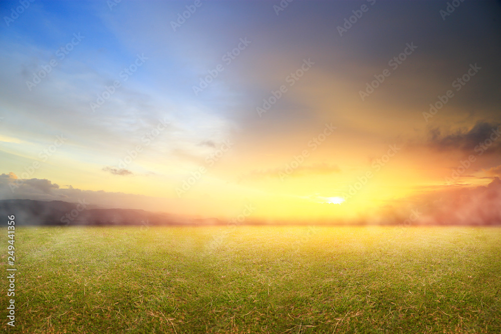 beautiful nature with fresh grass and morning sunrise
