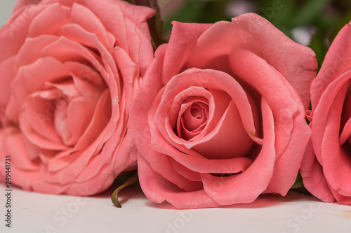 delicate bouquet of roses