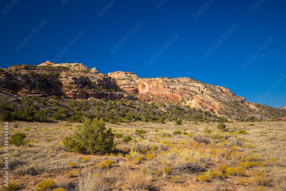 Obraz premium Colorado National Monument. National park in the Mesa County, Colorado. USA