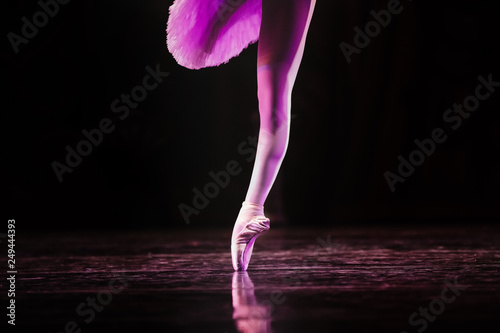 Obraz na płótnie Ballet