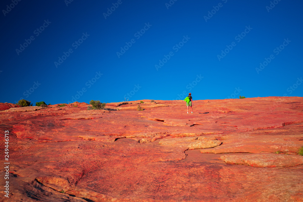 Naklejka premium Arches National Park. Utah. USA.