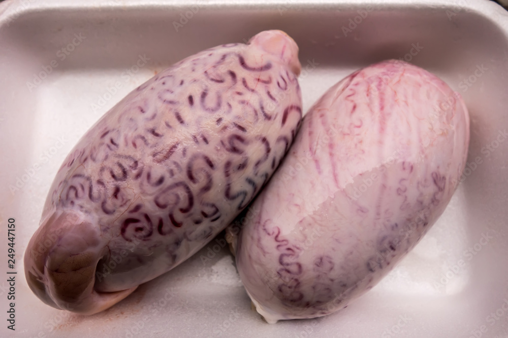 Bull testicles on a white plastic tray Stock Photo Adobe Stock