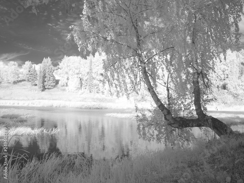Infra red photography IR photo © Max G K