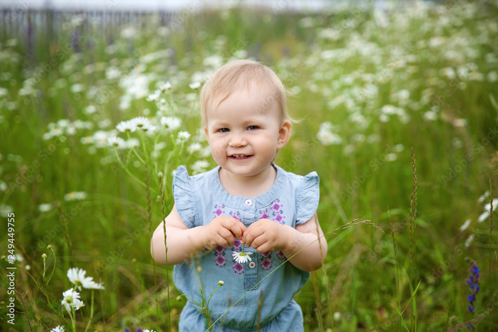Little blonde girl walks in daisy field of blooming daisies sniffs flowers. Beautiful Caucasian blond hair girl walking and holding daisy flowers in the field Little blonde girl walks in daisy field of blooming daisies sniffs flowers. Beautiful Caucasian blond hair girl walking and holding daisy flowers in the field