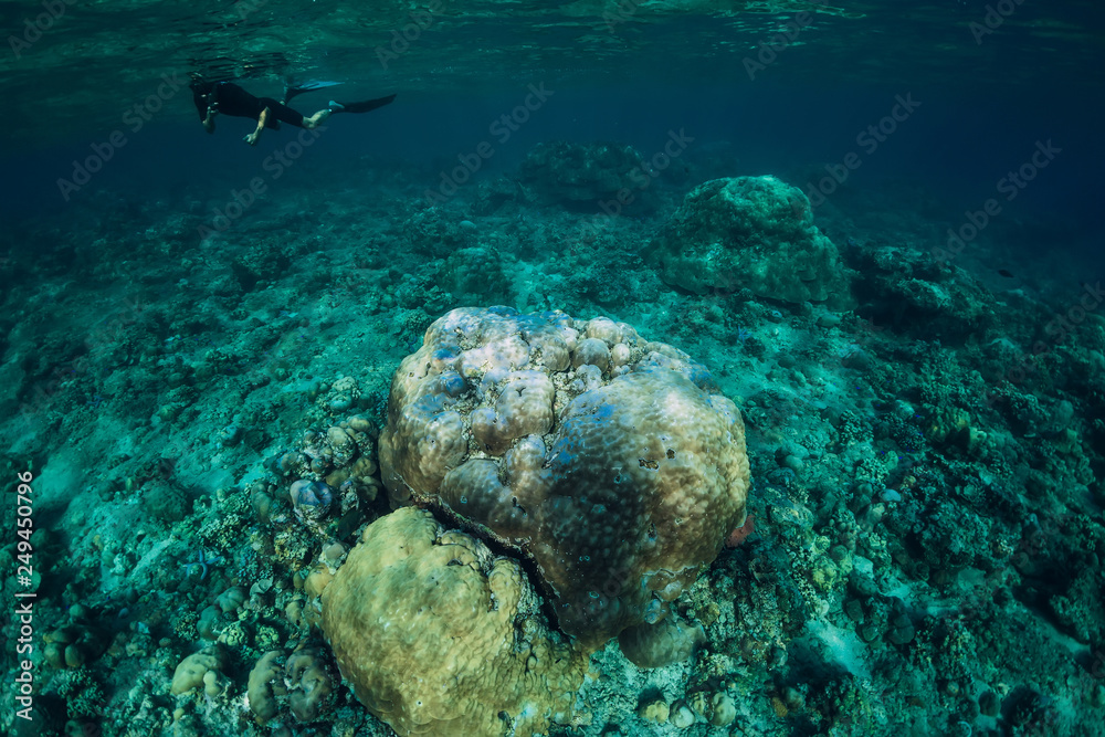 Fototapeta premium Free diver man swim in ocean and corals, underwater
