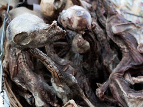 Dehydrated llamas used for offer in Andean ritual for sale on La Paz street - Bolivia