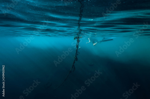 Fototapeta Naklejka Na Ścianę i Meble -  Free diver man swim in ocean, underwater