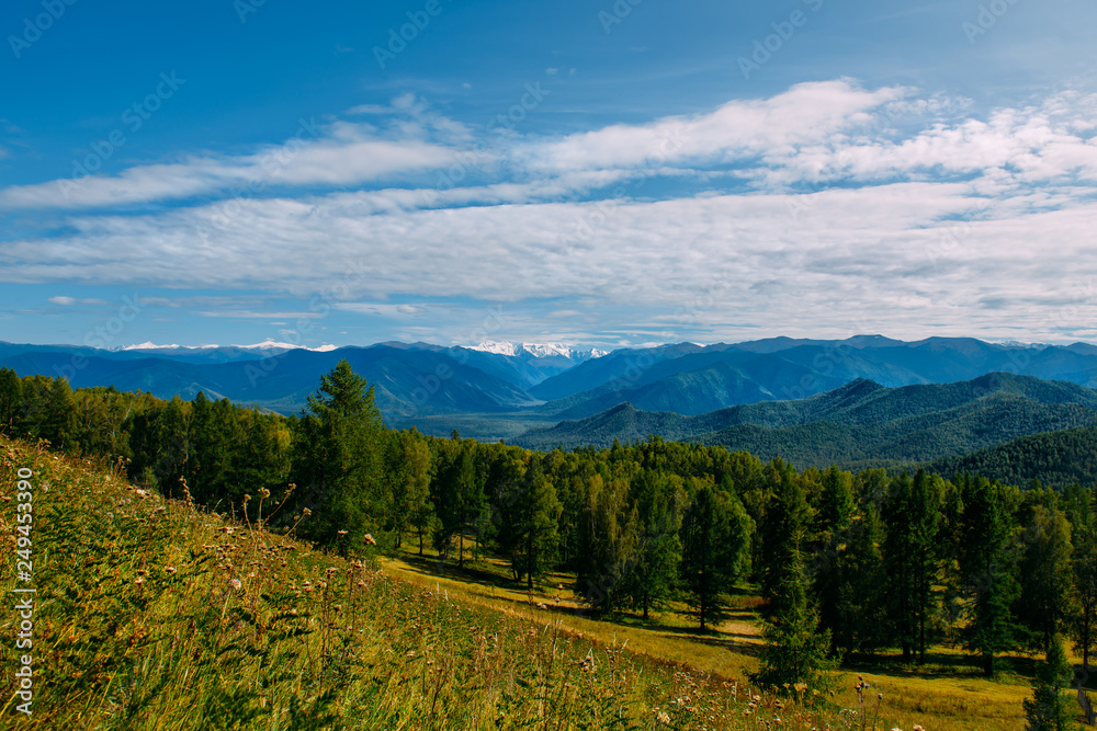 Mountain valley with trees and cloudy sky, golden autumn panorama landscape, Altai Republic