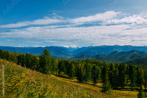 Mountain valley with trees and cloudy sky, golden autumn panorama landscape, Altai Republic