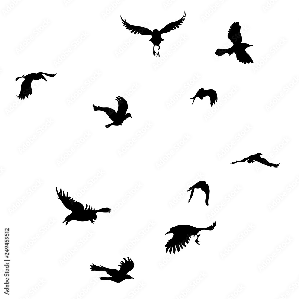 Fototapeta premium Black raven silhouette