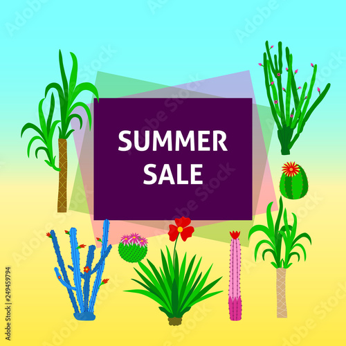 Banner sale  with cactus.