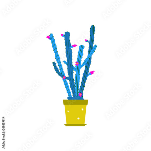 Cactus with flowers