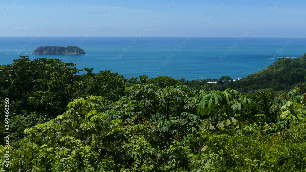 Forest and beach