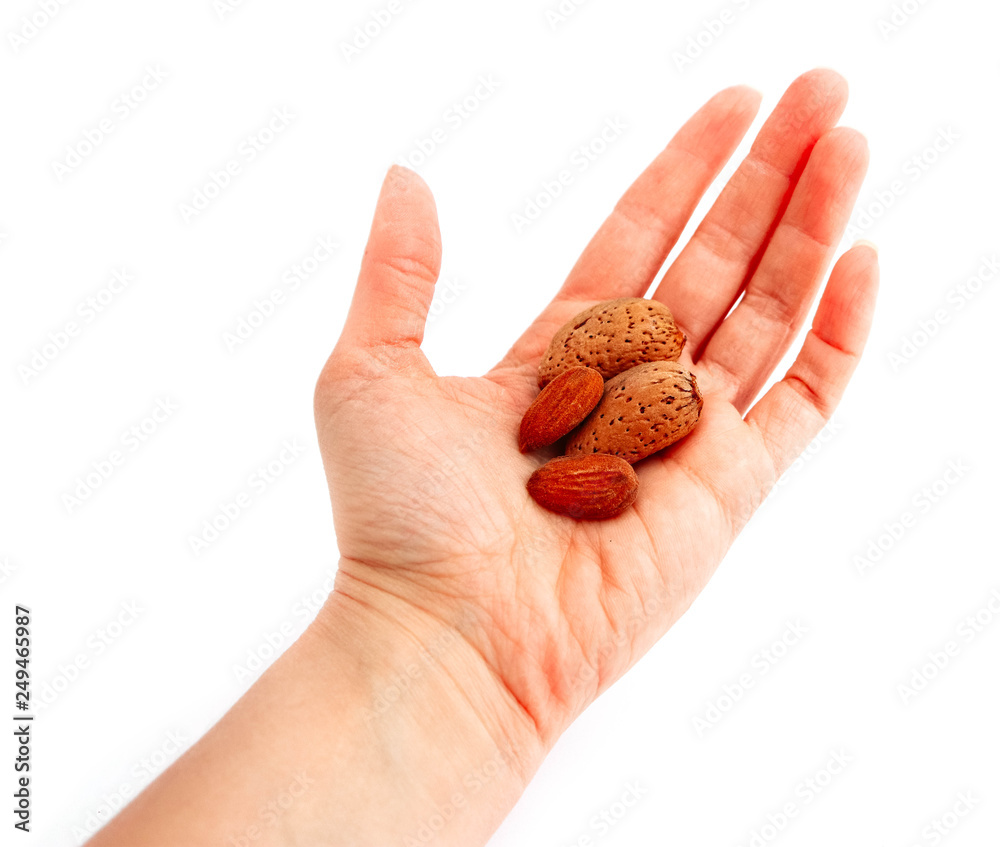 Wild raw almond nuts in shell and without peel, hold in a female hand, isolated on white background. Wild raw almond nuts in shell and without peel, hold in a female hand, isolated on white background.