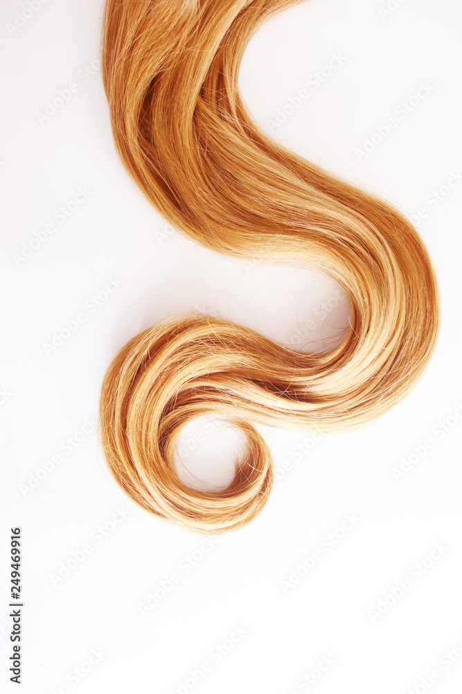 Obraz premium Blonde Curls hair isolated on white background. strand of light or red hair, hair care