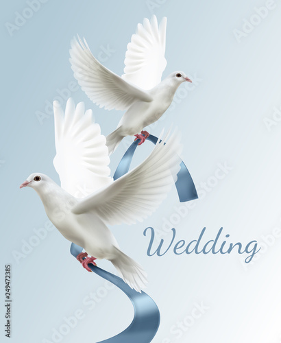 Vector illustration of two white doves with blue ribbon. Concept of wedding invitation