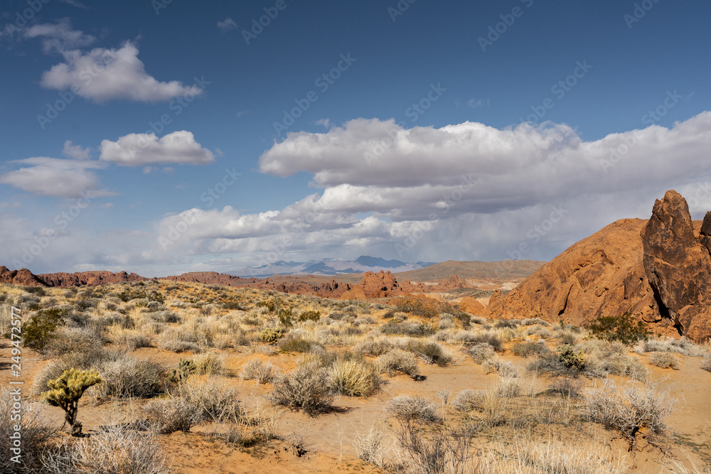 Fototapeta premium fire state park