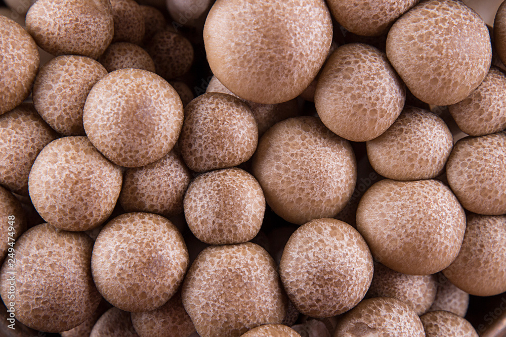 Asian edible mooshrooms shimidzhi brown. Close up. Top view. Healthy eating concept. Asian edible mooshrooms shimidzhi brown. Close up. Top view. Healthy eating concept.