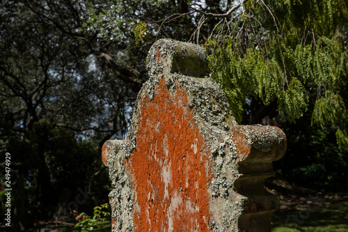 Symonds street Cemetry. Graveyard. Auckland New Zealand. Thombstones photo