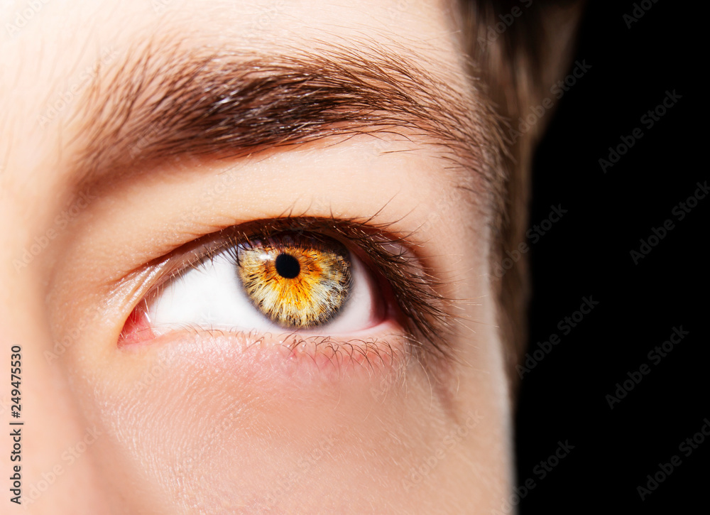 A beautiful insightful look man's eye. Close up shot.