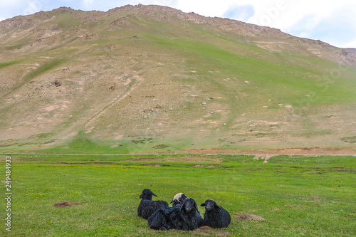 Tash Rabat Caravanserai 12 photo