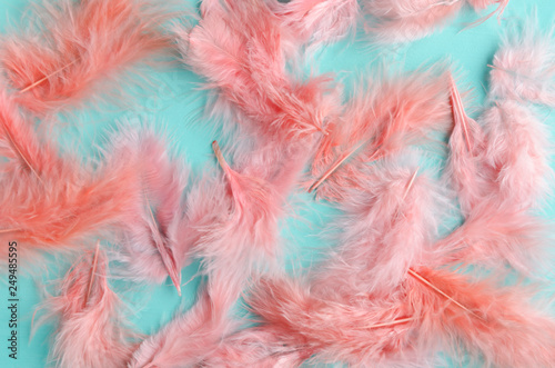 Cute little feathers on blue background.Living coral-modern and trendy color of the year