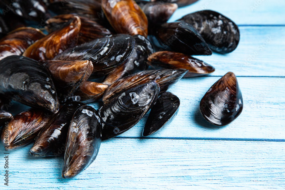 Fresh raw mussels on blue wooden backgound Fresh raw mussels on blue wooden backgound