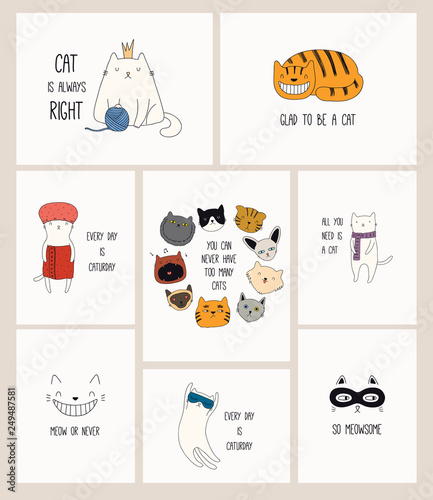 Set of cards with cute color doodles of different cats with funny quotes for cat lovers. Hand drawn vector illustration. Line drawing. Design concept for poster, t-shirt, fashion print.