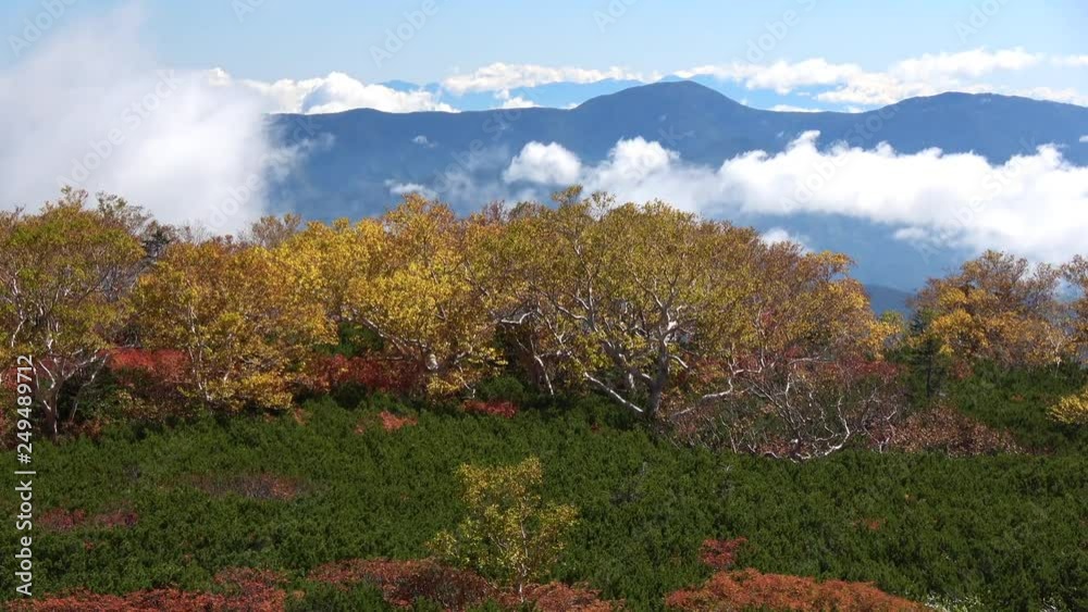 乗鞍岳と紅葉の位ヶ原 乗鞍岳と紅葉の位ヶ原