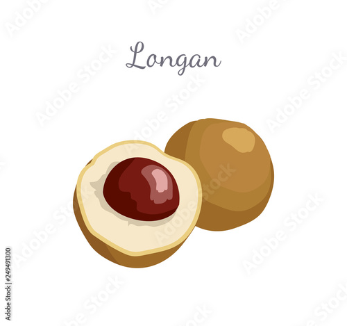Longan exotic juicy fruit whole and cut. Plant related to litchi vector poster with frame and place for text. Tropical food, dieting vegetarian grocery