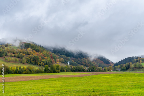 Germany, Enchanted black forest nature covered by clouds and fog © Simon