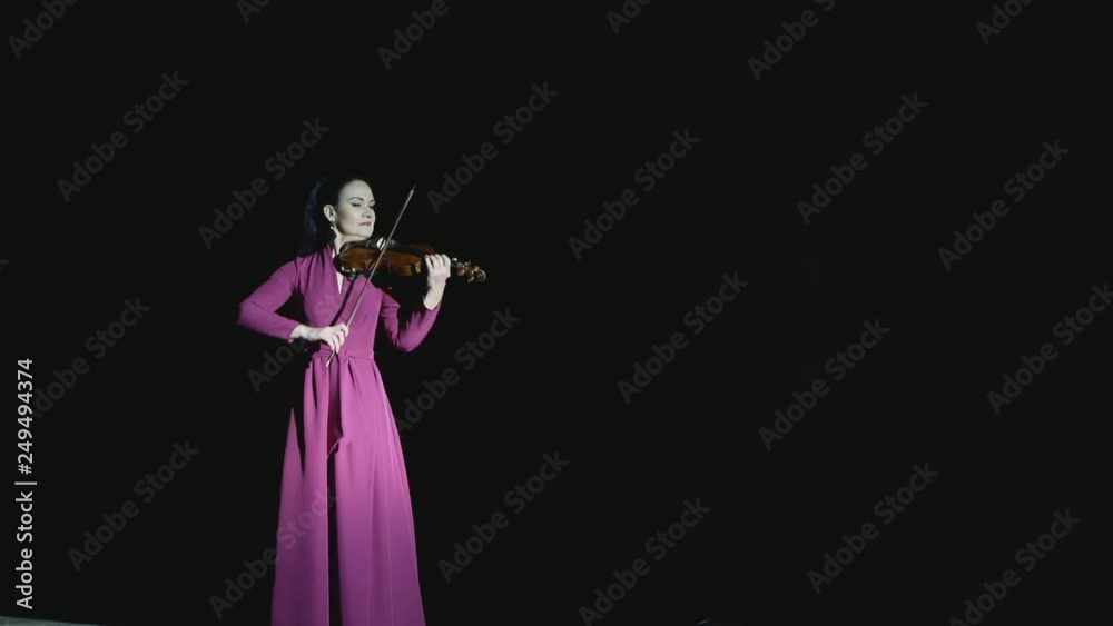 beautiful young girl playing the violin during the concert beautiful young girl playing the violin during the concert