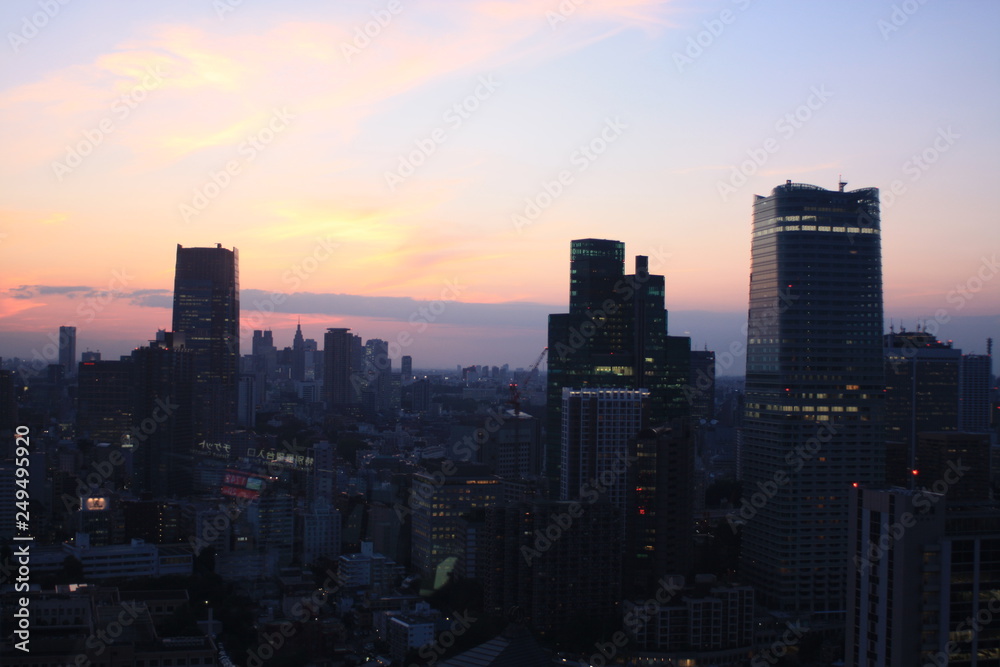 Fototapeta premium 東京の風景