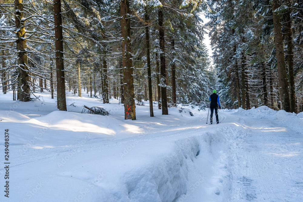 Langlauf Pröller Skidreieck (St. Englmar) – Loipe Langlauf Pröller Skidreieck (St. Englmar) – Loipe