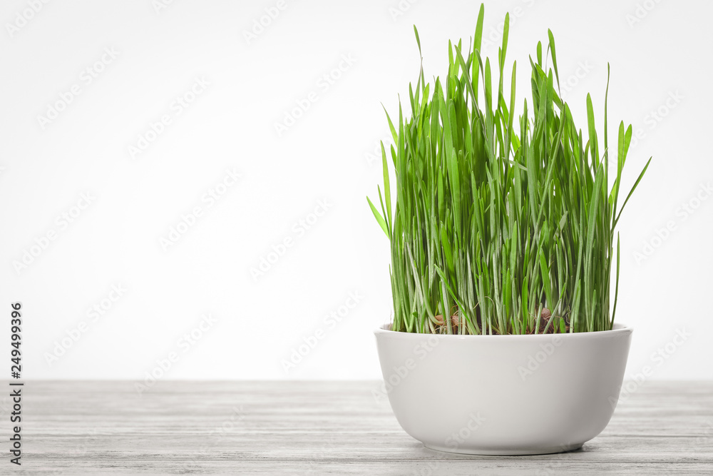 Concept of healthy eating. Green wheat sprouts in white cup. Concept of healthy eating. Green wheat sprouts in white cup.