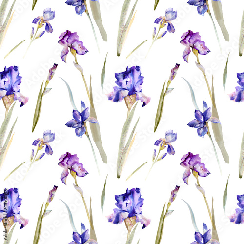 Fototapeta Naklejka Na Ścianę i Meble -  irises pattern